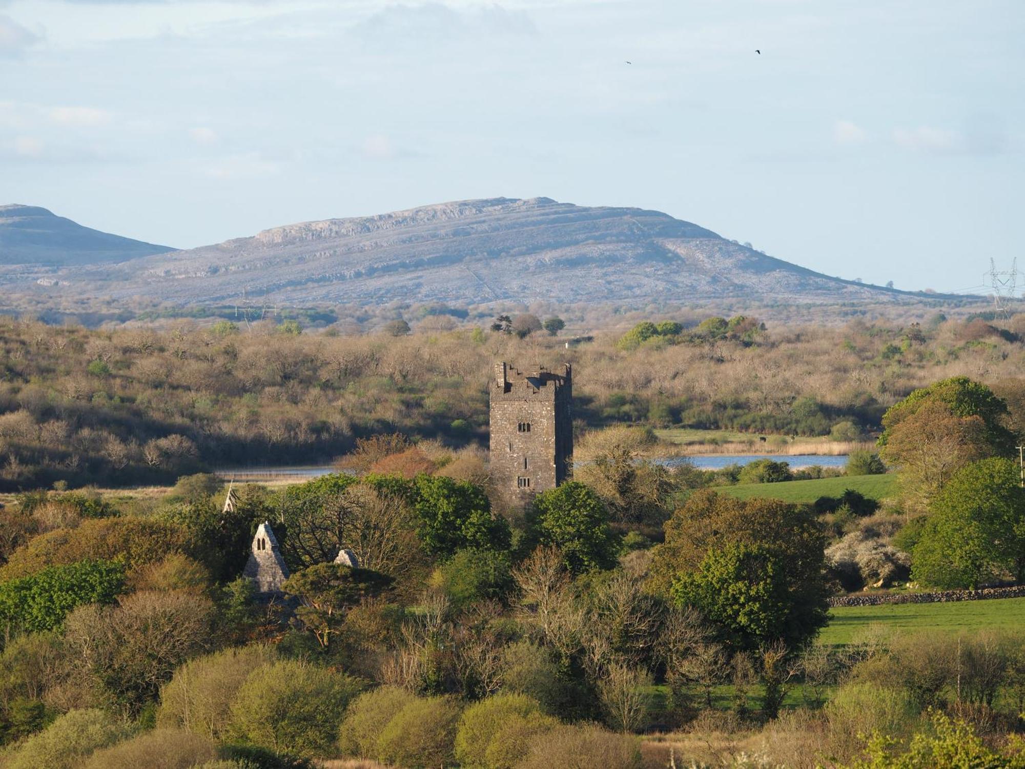 The Cottage @ Burkedale House Corofin  Exterior foto